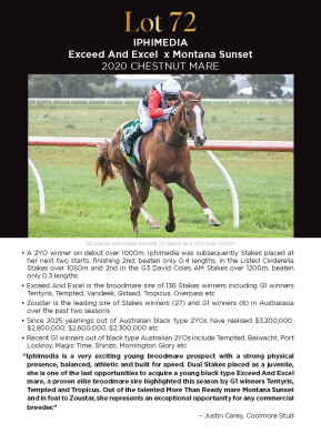 Lot 72: Exceed and Excel / Montana Sunset