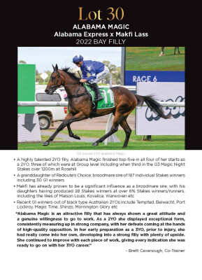 Lot 30: Alabama Express / Makfi Lass