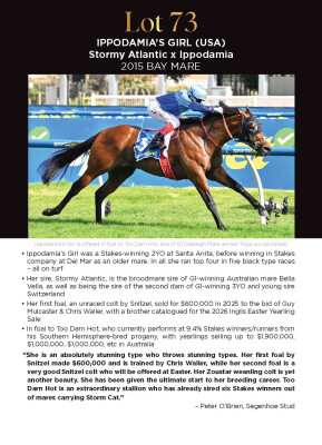 Lot 73: Stormy Atlantic (USA) / Ippodamia (USA)