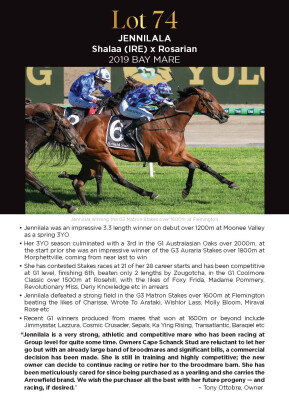 Lot 74: Shalaa (IRE) / Rosarian