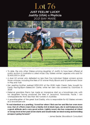 Lot 76: Justify (USA) / Phylicia