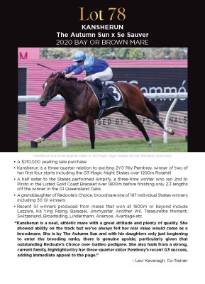 Lot 78: The Autumn Sun / Se Sauver