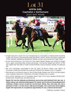 Lot 31: Capitalist / Sarthemare