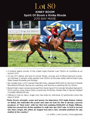 Lot 80: Spirit of Boom / Kinka Rhode