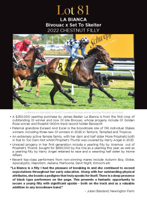 Lot 81: Bivouac / Set to Skelter