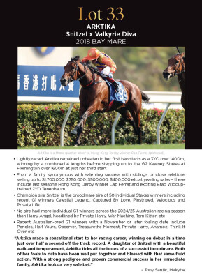 Lot 33: Snitzel / Valkyrie Diva