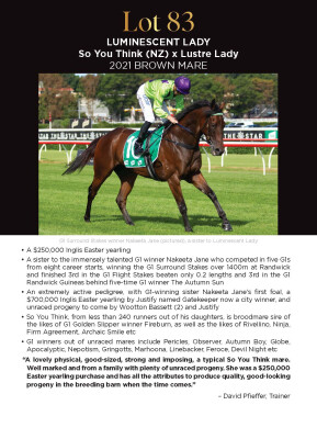 Lot 83: So You Think (NZ) / Lustre Lady