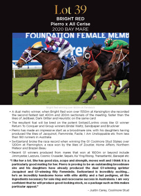 Lot 39: Pierro / All Cerise