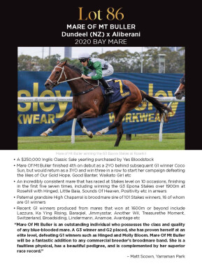 Lot 86: Dundeel (NZ) / Aliberani