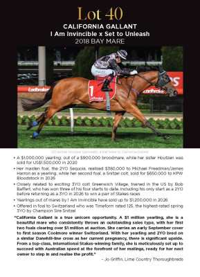 Lot 40: I Am Invincible / Set to Unleash