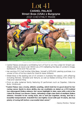 Lot 41: Street Boss (USA) / Burgoyne