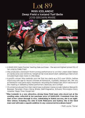 Lot 89: Deep Field / Iceland Turf Belle