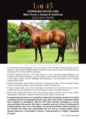 Lot 45: War Front (USA) / Susan B Anthony (IRE)