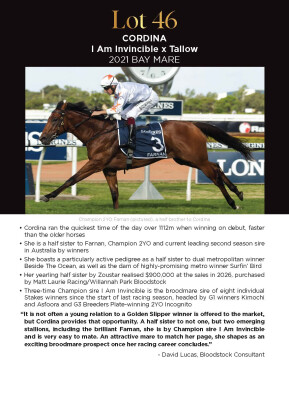 Lot 46: I Am Invincible / Tallow