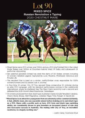 Lot 90: Russian Revolution / Typing