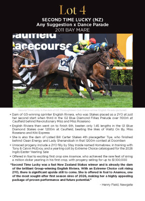 Lot 4: Any Suggestion / Dance Parade