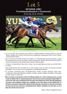 Lot 5: Footstepsinthesand (GB) / Sommorell (IRE)