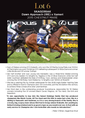 Lot 6: Dawn Approach (IRE) / Itameri