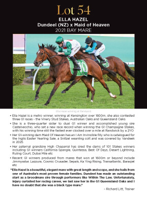 Lot 54: Dundeel (NZ) / Maid of Heaven