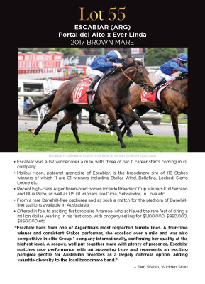 Lot 55: Portal del Alto (ARG) / Ever Linda (ARG)