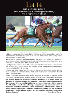 Lot 14: The Autumn Sun / Winning Belle (NZ)