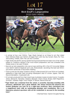 Lot 17: Rich Enuff / Langoustine