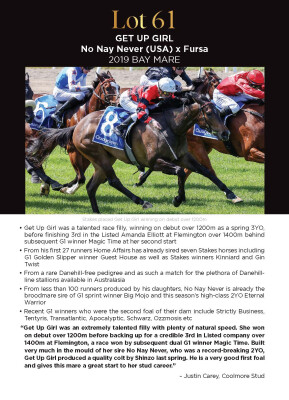 Lot 61: No Nay Never (USA) / Fursa