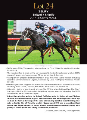 Lot 24: Snitzel / Snipify