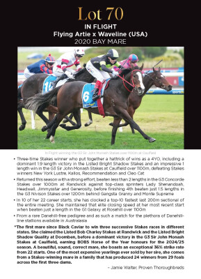 Lot 70: Flying Artie / Waveline (USA)