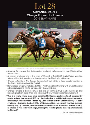 Lot 28: Charge Forward / Luanne