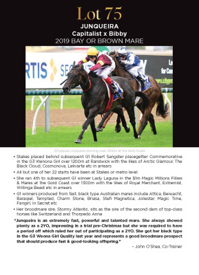 Lot 75: Capitalist / Bibby (USA)