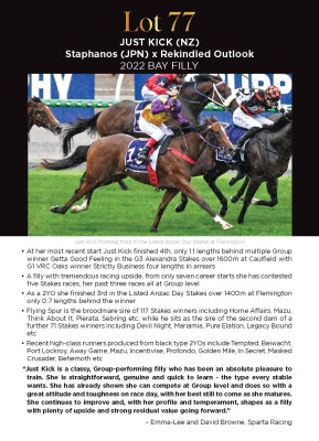 Lot 77: Staphanos (JPN) / Rekindled Outlook