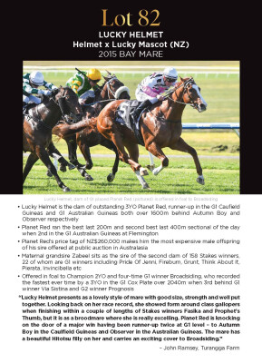 Lot 82: Helmet / Lucky Mascot (NZ)