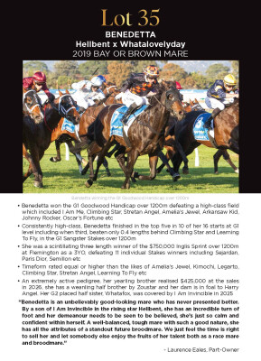 Lot 35: Hellbent / Whatalovelyday