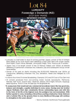 Lot 84: Foxwedge / Demandz (NZ)