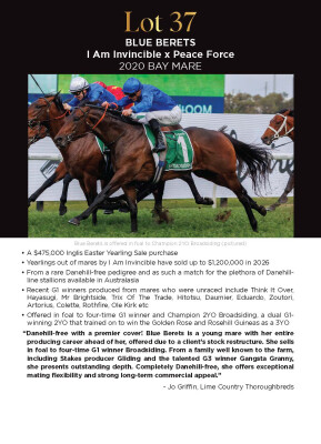 Lot 37: I Am Invincible / Peace Force