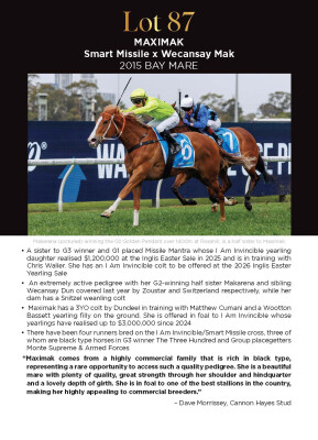 Lot 87: Smart Missile / Wecansay Mak