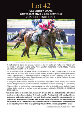 Lot 42: Xtravagant (NZ) / Celebrity Miss