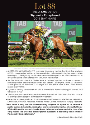 Lot 88: Siyouni (FR) / Enraptured (IRE)