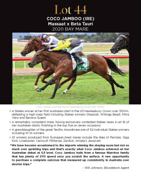 Lot 44: Massaat (IRE) / Beta Tauri (USA)