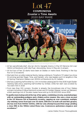 Lot 47: Zoustar / Time Awaits