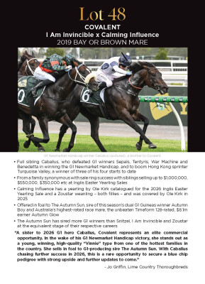 Lot 48: I Am Invincible / Calming Influence