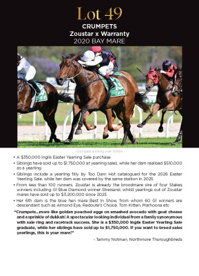 Lot 49: Zoustar / Warranty