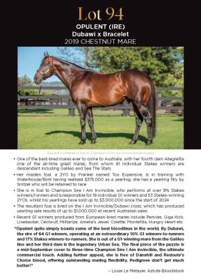 Lot 94: Dubawi (IRE) / Bracelet (IRE)