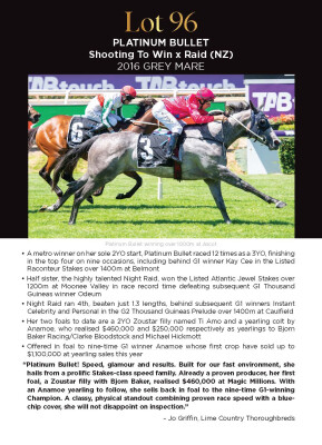 Lot 96: Shooting To Win / Raid (NZ)