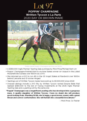 Lot 97: Written Tycoon / La Paris