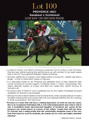 Lot 100: Savabeel / Sombreuil