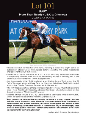 Lot 101: More Than Ready (USA) / Ghenwaa