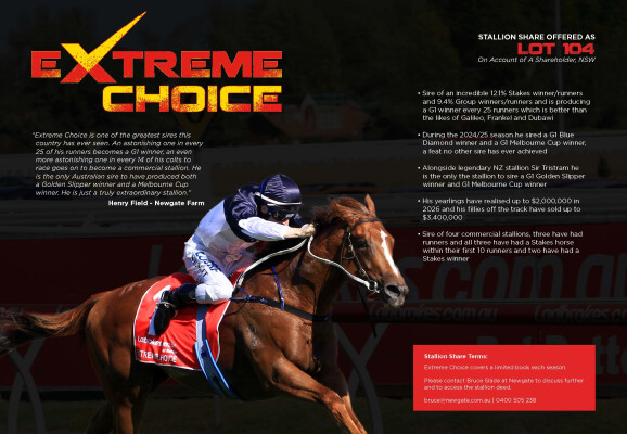 Lot 104: Not a Single Doubt / Extremely