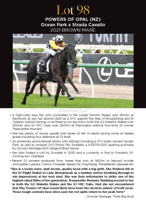 Lot 98: Ocean Park (NZ) / Strada Cavallo (NZ)